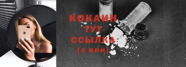 крисы Армянск