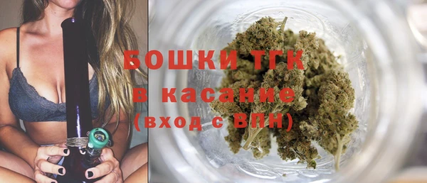 меф Арсеньев
