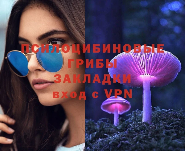меф Арсеньев