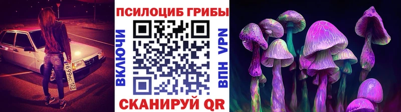 Купить  Голицыно  Псилоцибиновые грибы MAGIC MUSHROOMS 